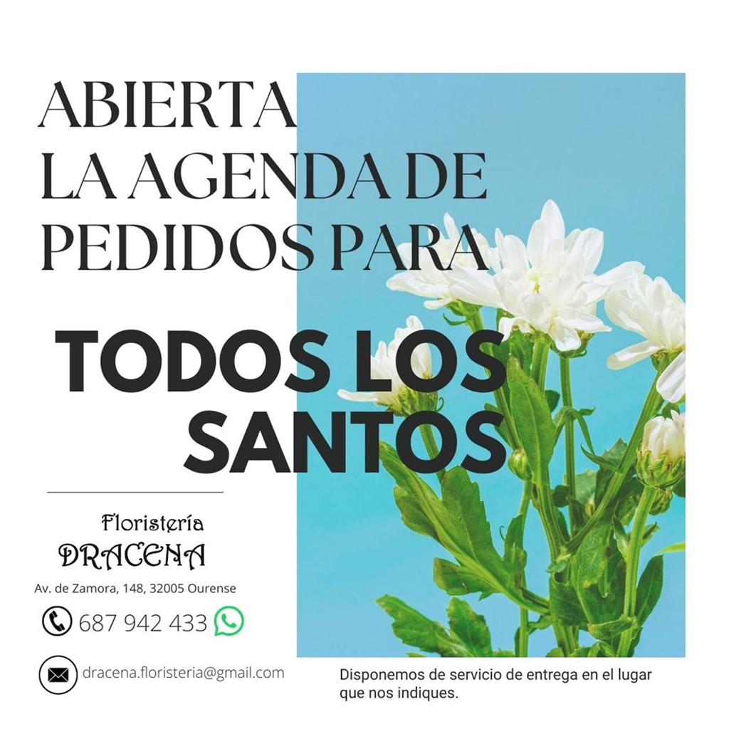 "Flores en el Día de Todos los Santos: Una tradición  llena de significado”