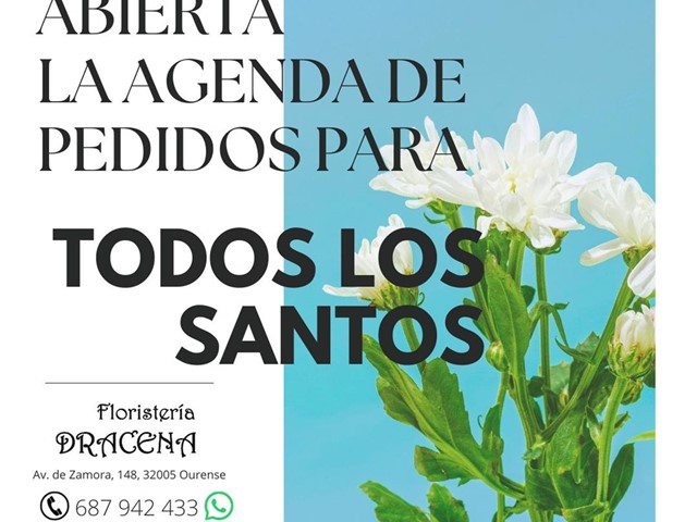 "Flores en el Día de Todos los Santos: Una tradición  llena de significado”