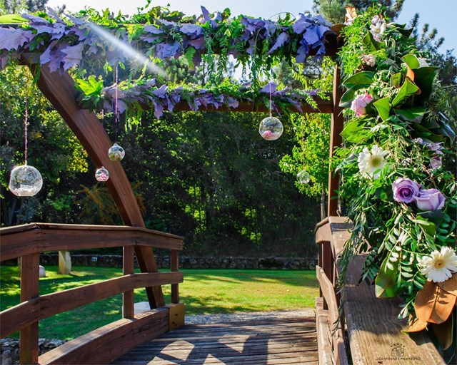 Floristería Drácena 