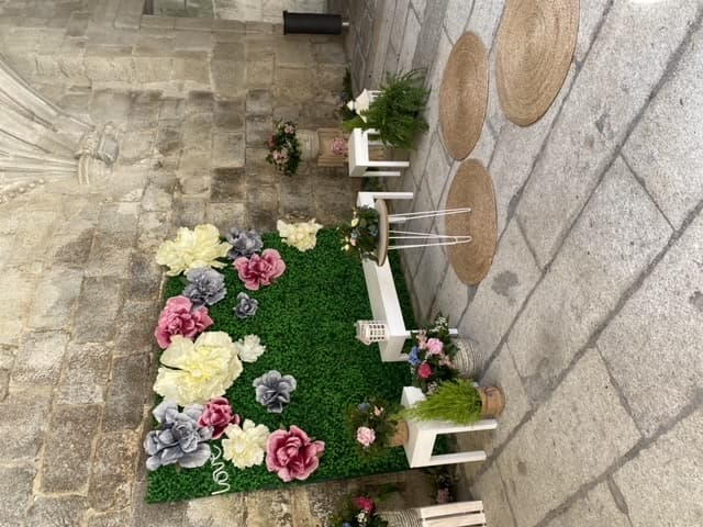 Photocall floral en Ourense - Floristería Drácena