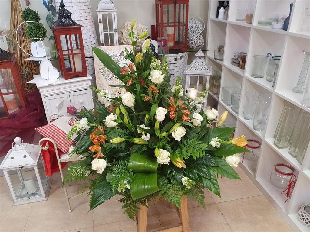 Floristería Drácena