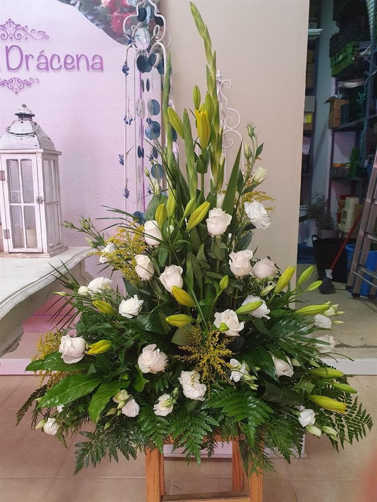 Floristería Drácena