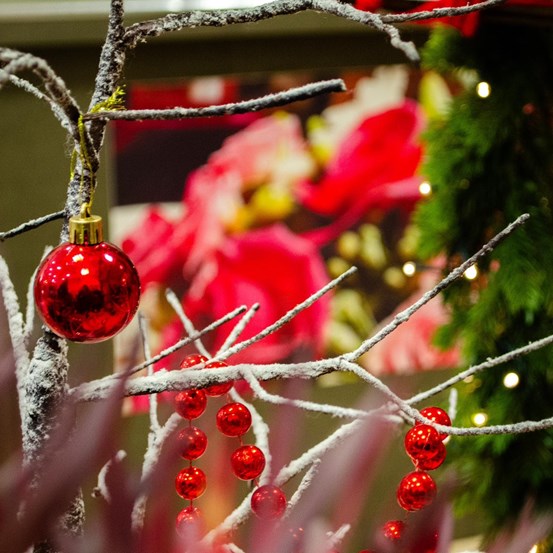 Navidad, todo al rojo con Floristería Drácena - Imagen 2