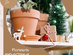 Verde y Alegría: Plantas para decorar tu hogar en Navidad